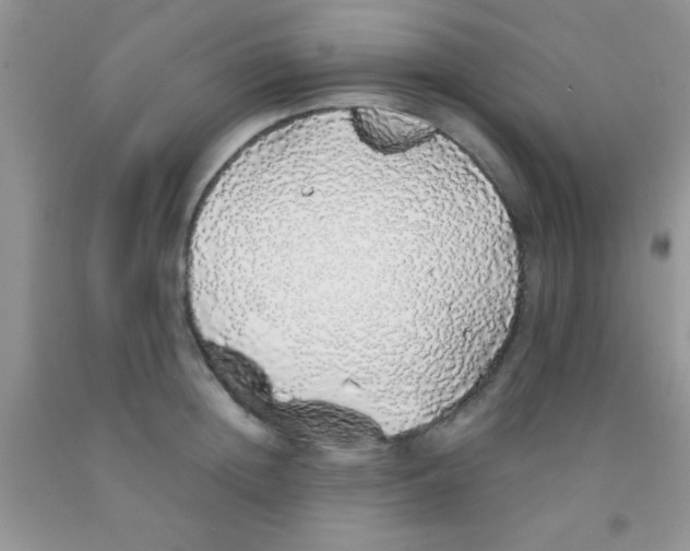 X0000091340852200709071217