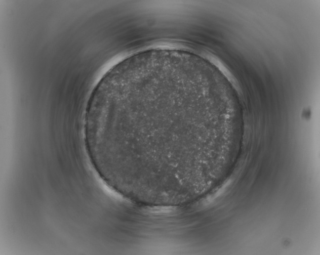 X0000091340853200709071217