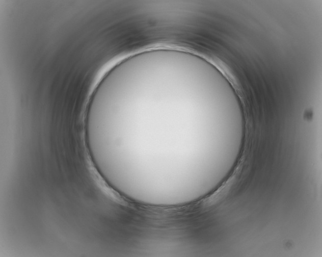 X0000091340854200709071217