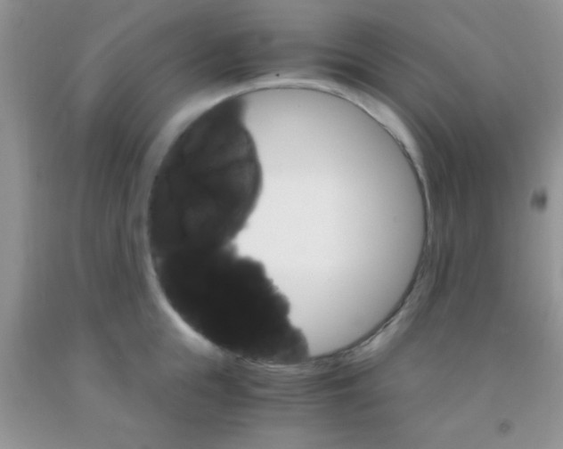 X0000091340855200709071217