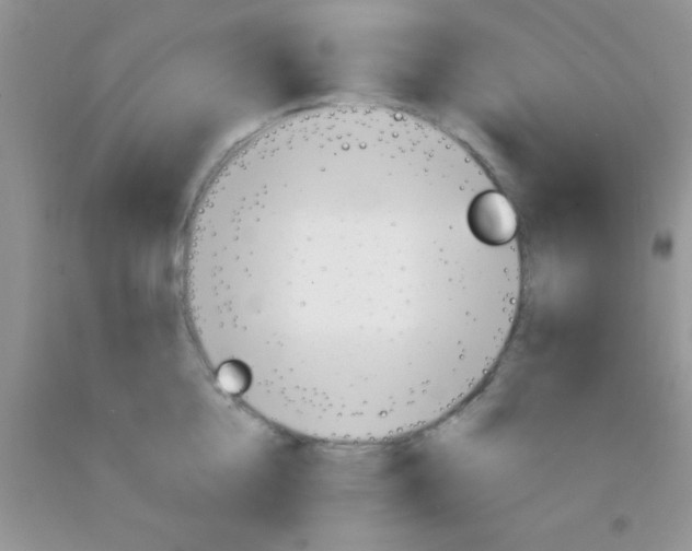 X0000091340856200709071217