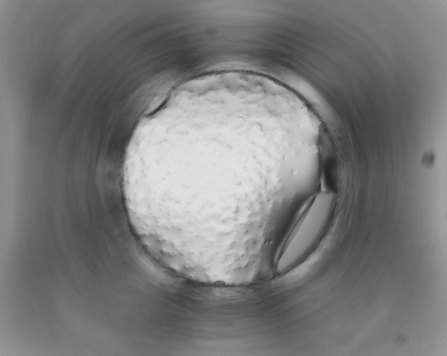 X0000091340857200709071217