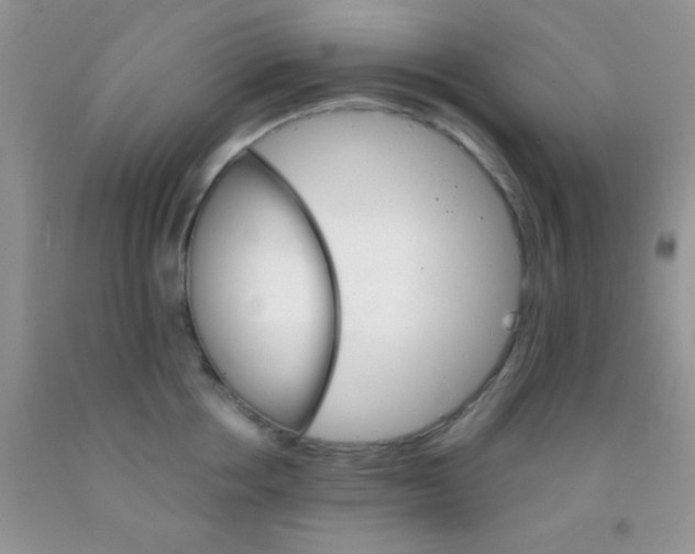 X0000091340858200709071217