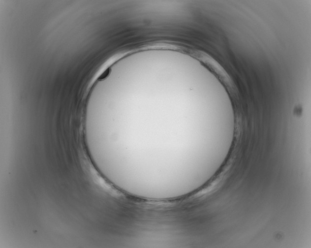 X0000091340860200709071217