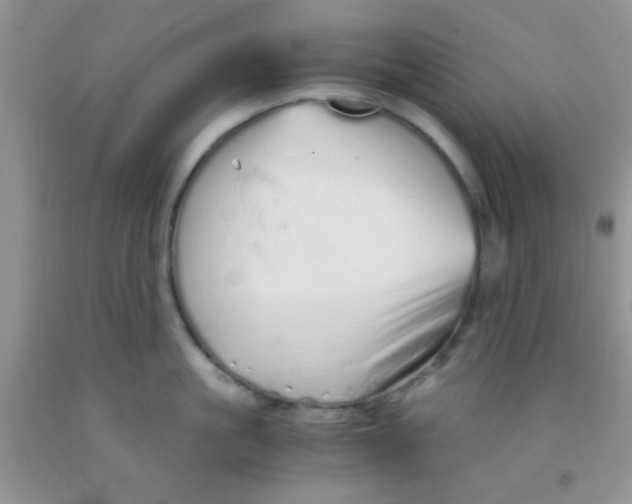 X0000091340861200709071217