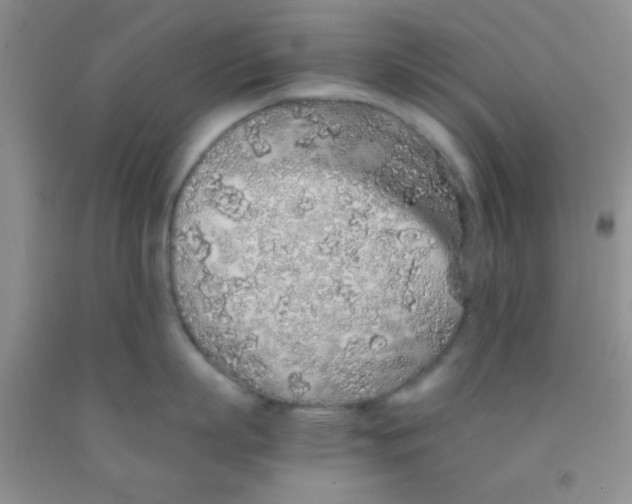 X0000091340863200709071217