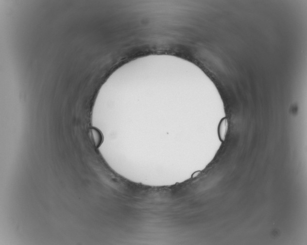 X0000091340865200709071216