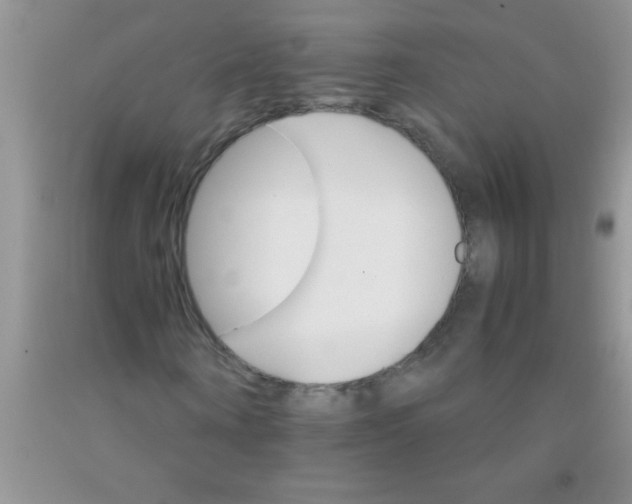 X0000091340866200709071216