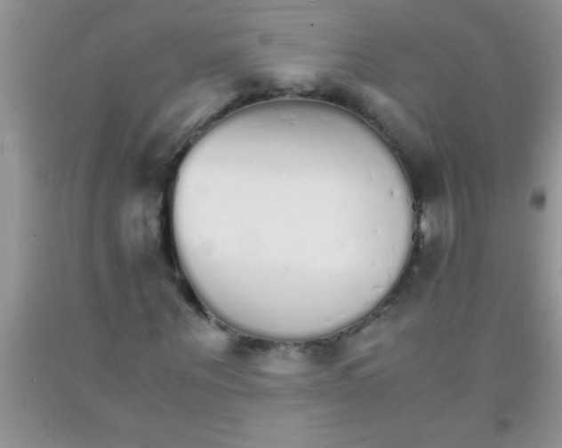 X0000091340867200709071216