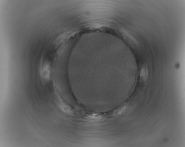 X0000091340868200709071216