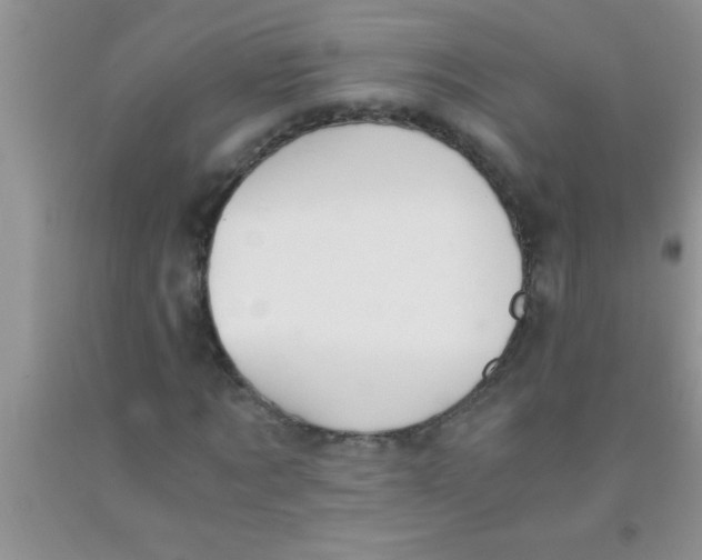 X0000091340869200709071216