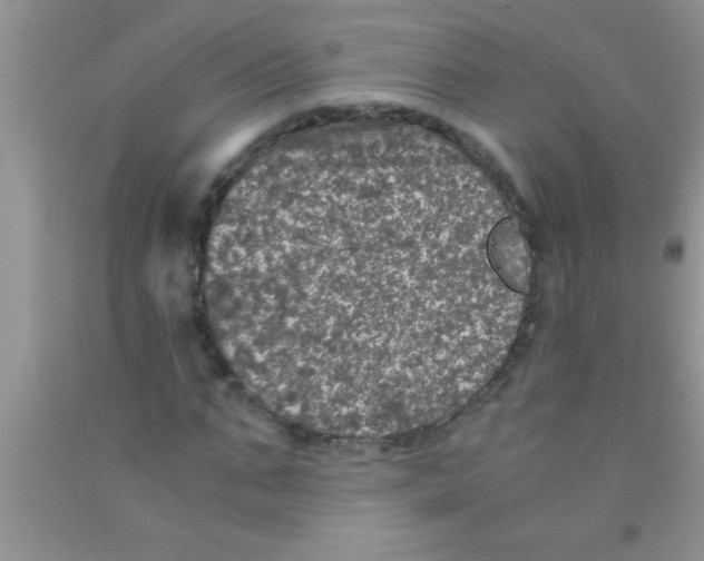 X0000091340871200709071216