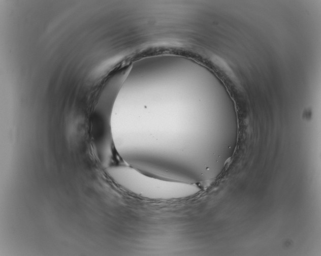 X0000091340872200709071216