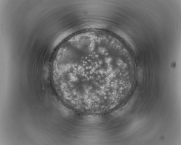 X0000091340874200709071216