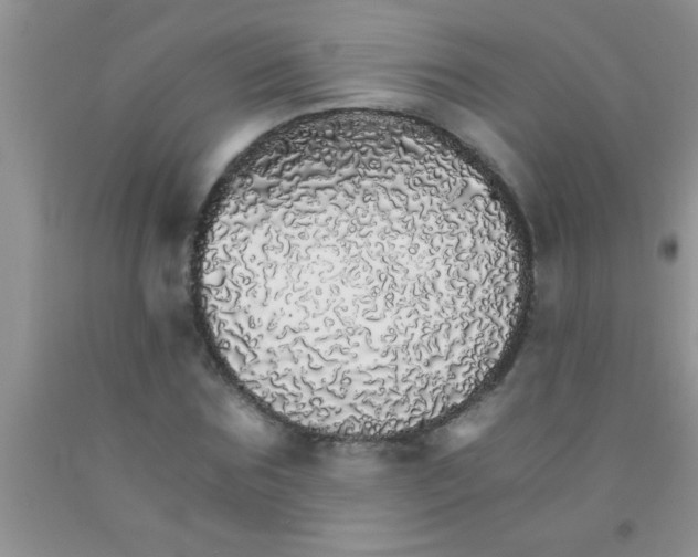 X0000091340875200709071216