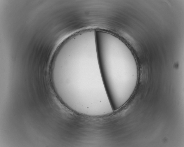 X0000091340876200709071216