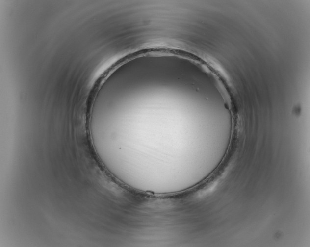 X0000091340877200709071216