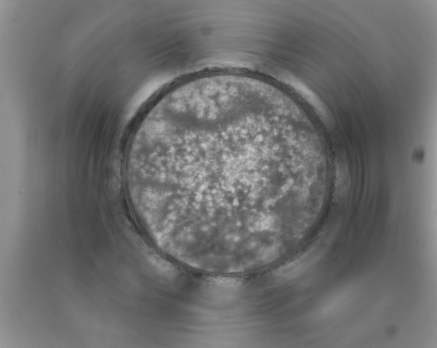 X0000091340878200709071216