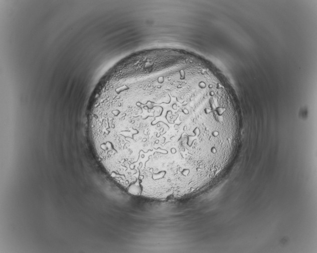 X0000091340879200709071216