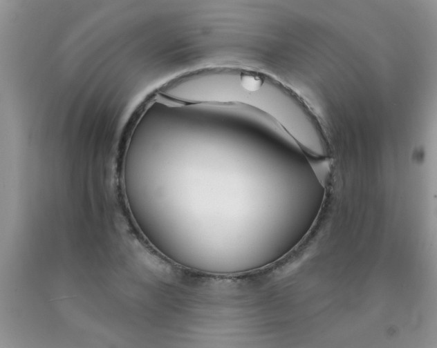 X0000091340880200709071216