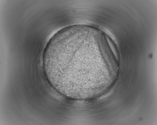 X0000091340883200709071216