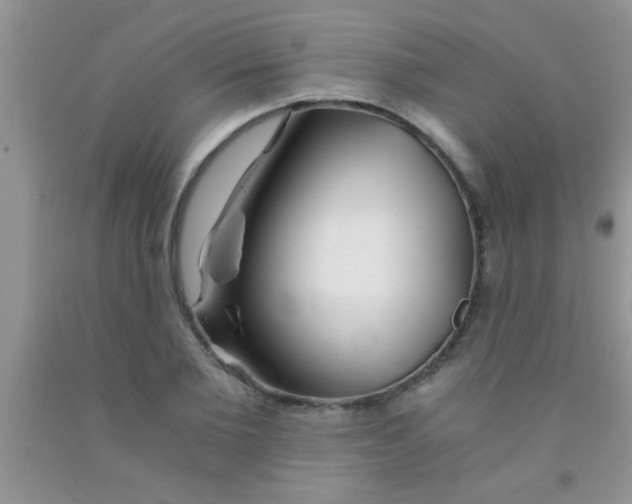 X0000091340885200709071216