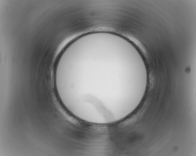 X0000091340886200709071216