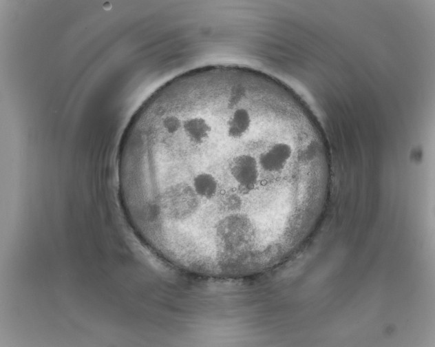 X0000091340887200709071216