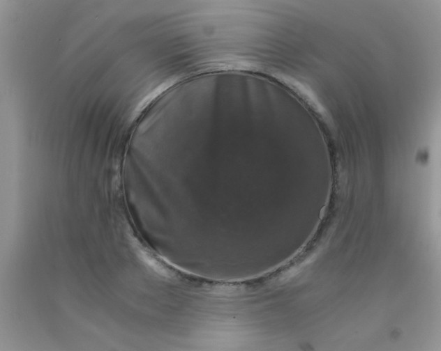 X0000091340889200709071216