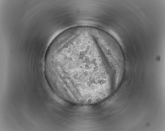 X0000091340891200709071216