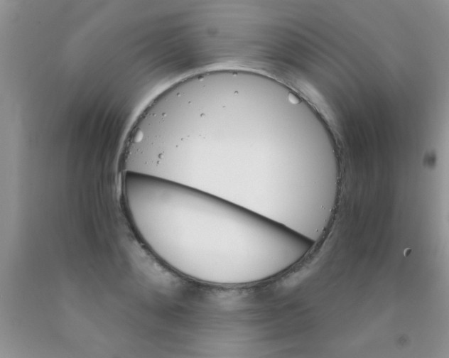 X0000091340892200709071216