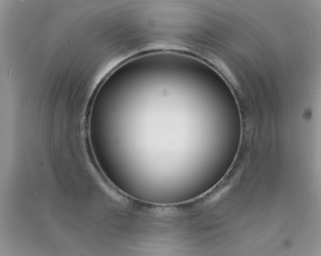 X0000091340893200709071216