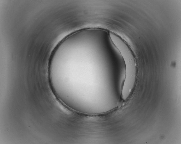 X0000091340894200709071216