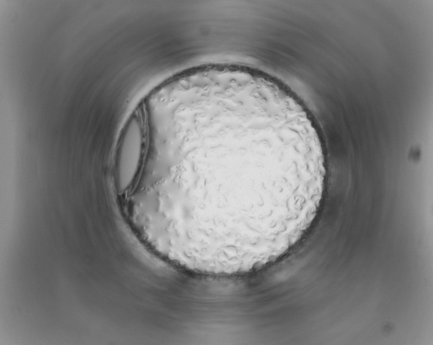 X0000091340895200709071216