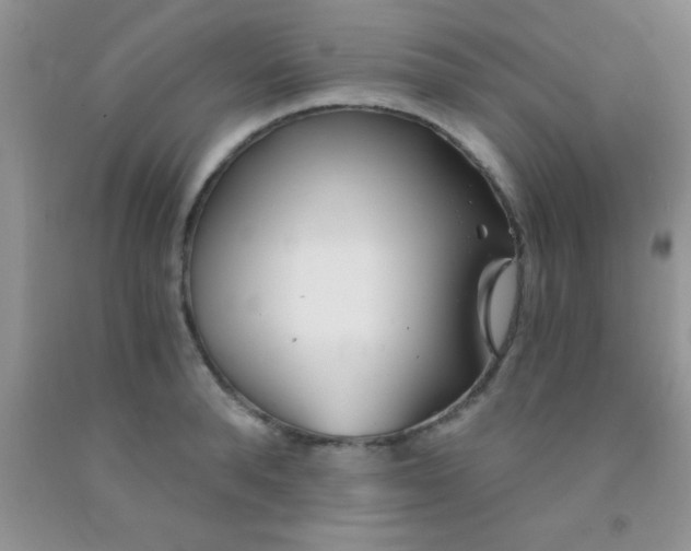 X0000091340896200709071216