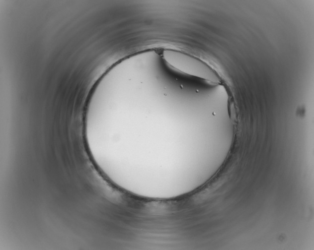 X0000091340898200709071216