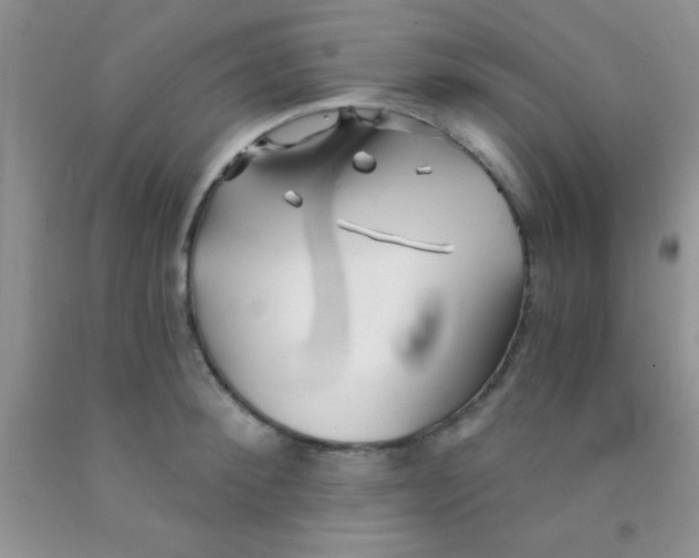 X0000091340900200709071216