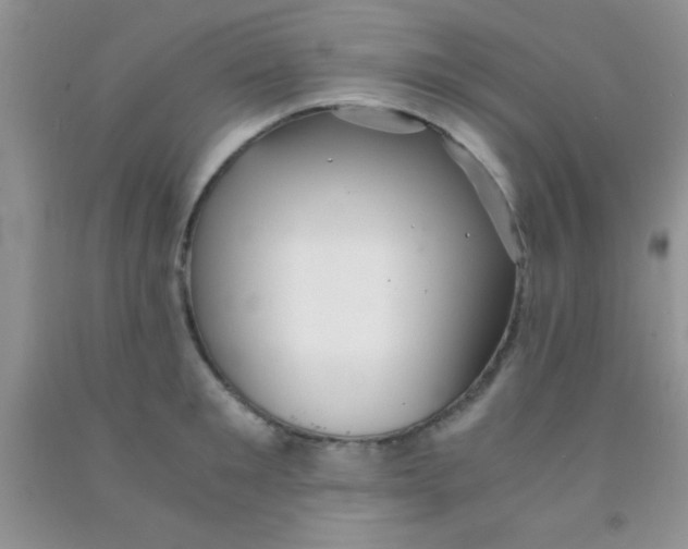 X0000091340901200709071216