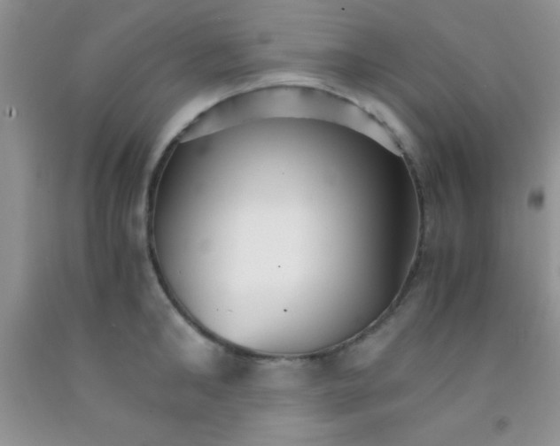 X0000091340902200709071216