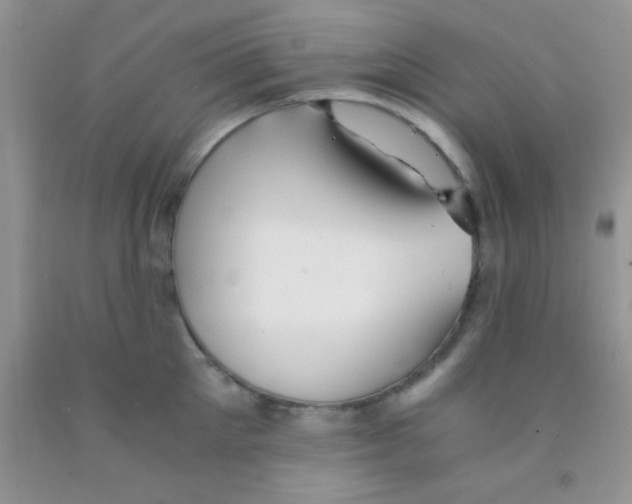 X0000091340905200709071215