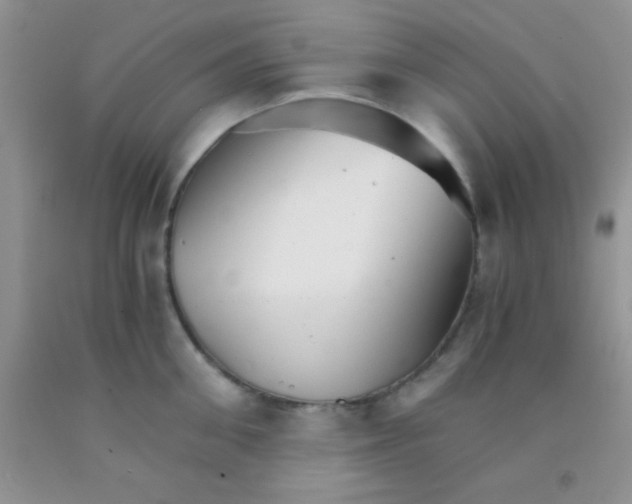 X0000091340906200709071215