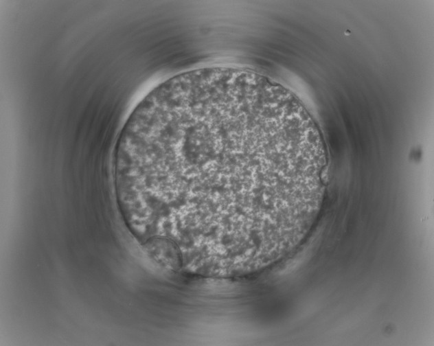 X0000091340907200709071215