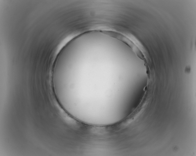 X0000091340909200709071215