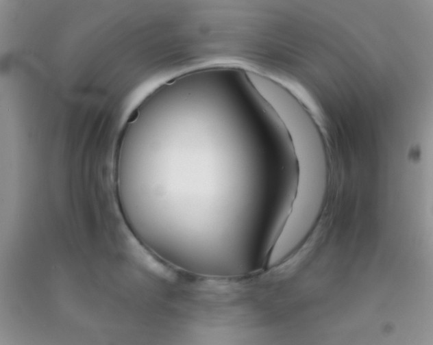 X0000091340910200709071215