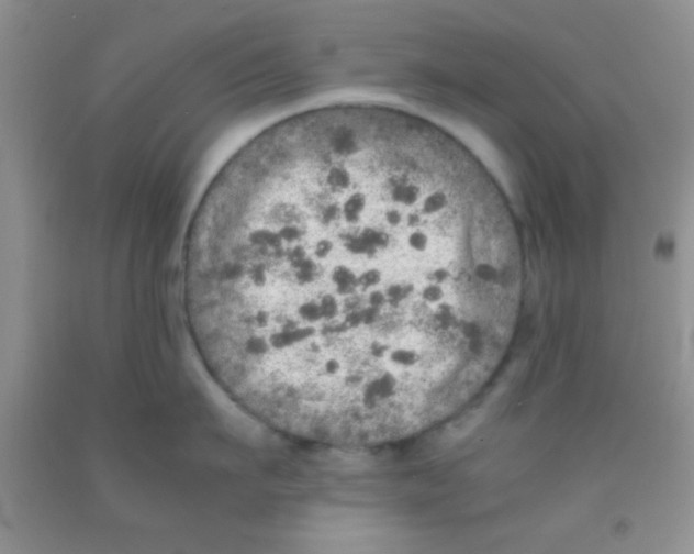 X0000091340911200709071215