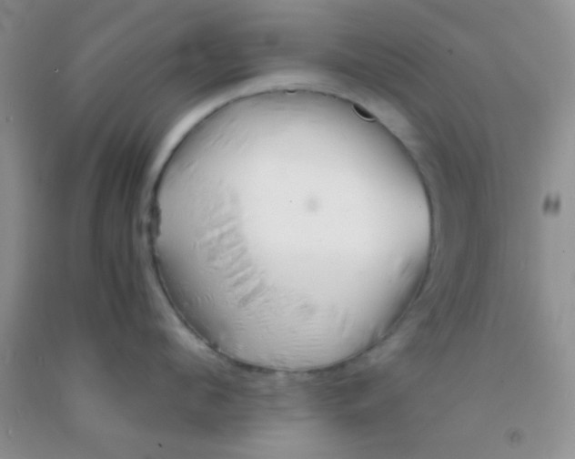 X0000091340912200709071215