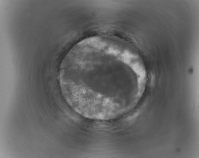 X0000091340913200709071215