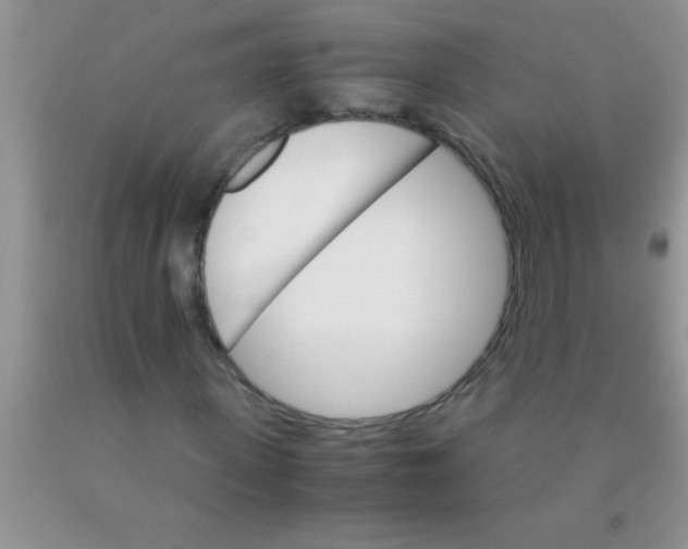 X0000091340915200709071215