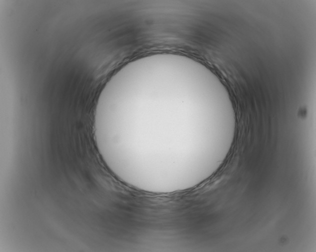 X0000091340916200709071215