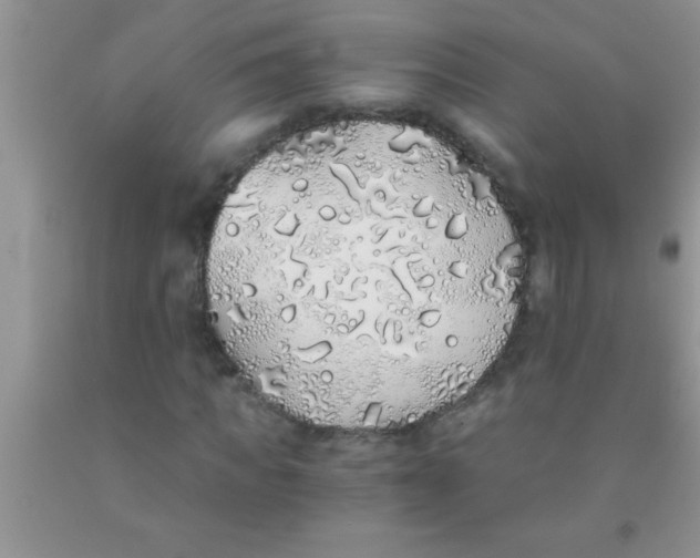 X0000091340917200709071215